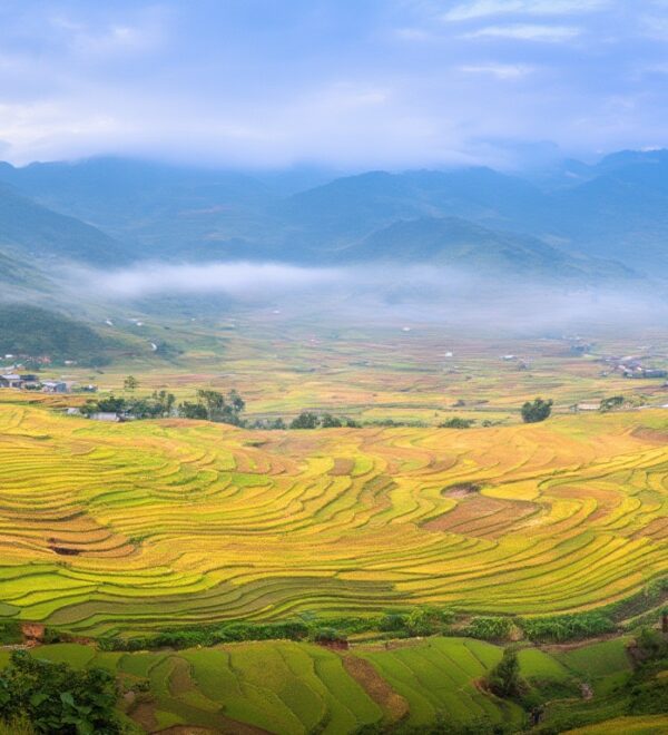 Things to Do in Mù Cang Chải: 8 Ways to Use Your Time Here