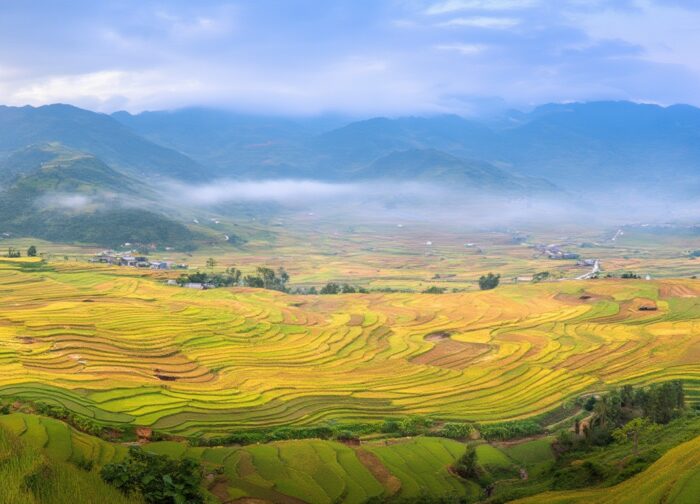 Things to Do in Mù Cang Chải: 8 Ways to Use Your Time Here