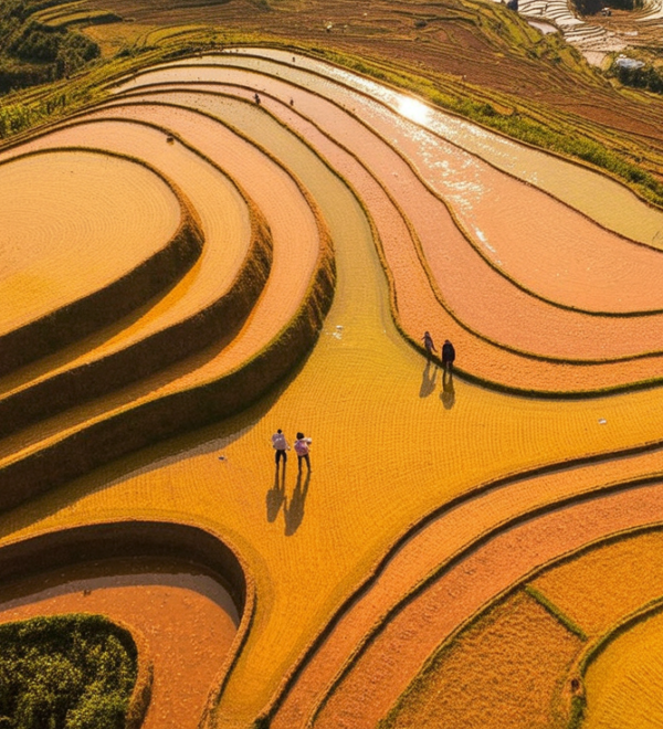 Mù Cang Chải Travel Guide: Rice Terraces Without the Sapa Crowds