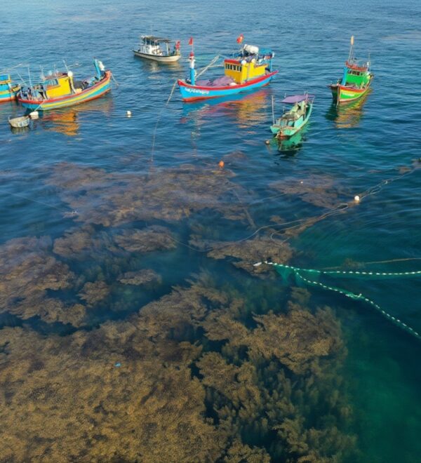 Phú Yên Beaches: The 5 Worth Actually Going To