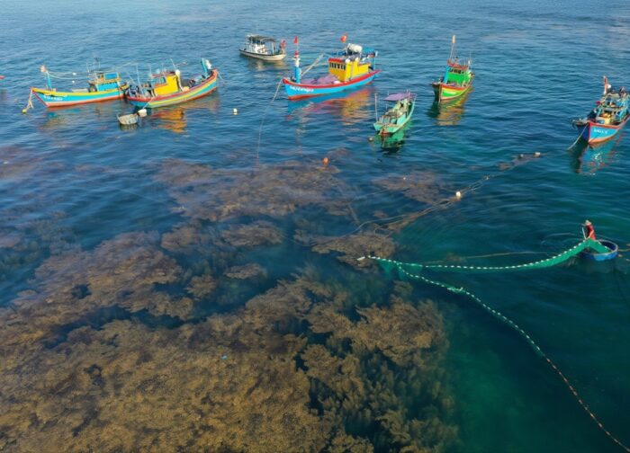 Phú Yên Beaches: The 5 Worth Actually Going To