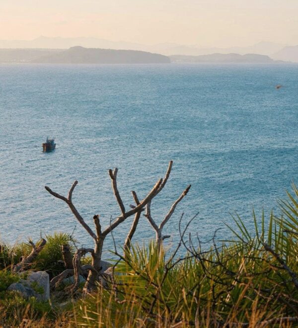 Things to Do in Phú Yên: 8 Stops Worth the Detour