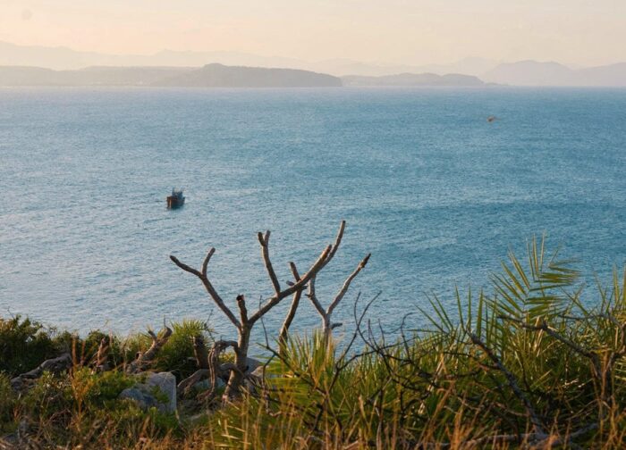 Things to Do in Phú Yên: 8 Stops Worth the Detour