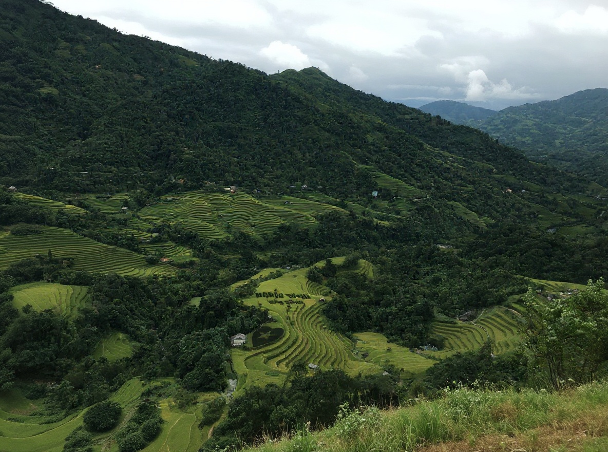 Ha Giang in August — the terraces are flooded and the green is violent