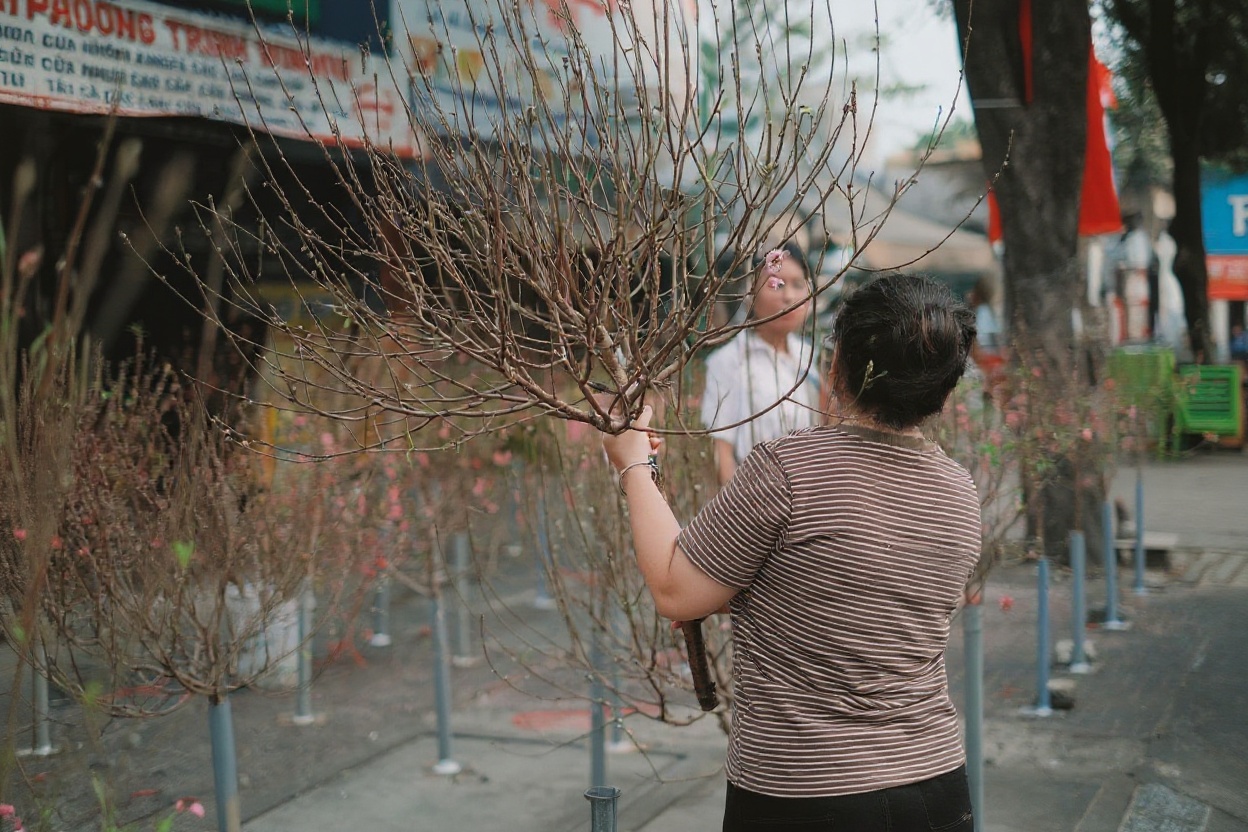 Tet flower markets appear 2 weeks before the holiday — one of January's best things to see