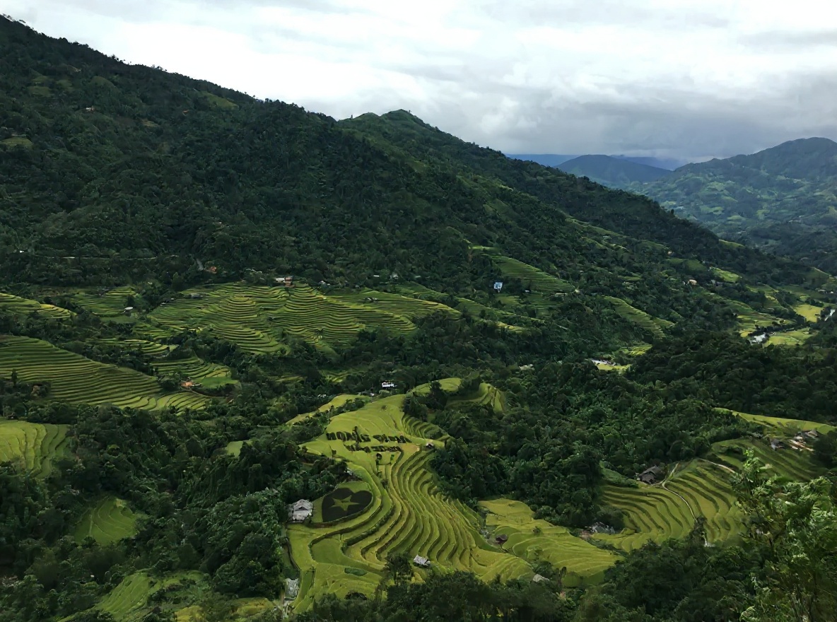 Ha Giang terraces in May — water-filled and electric green before harvest season