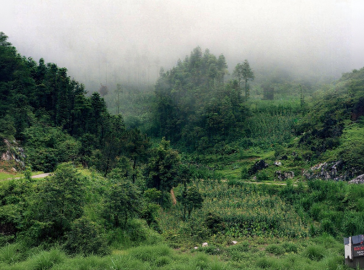 Ha Giang in rainy season — the green is extreme, the roads are muddy, the views are worth it