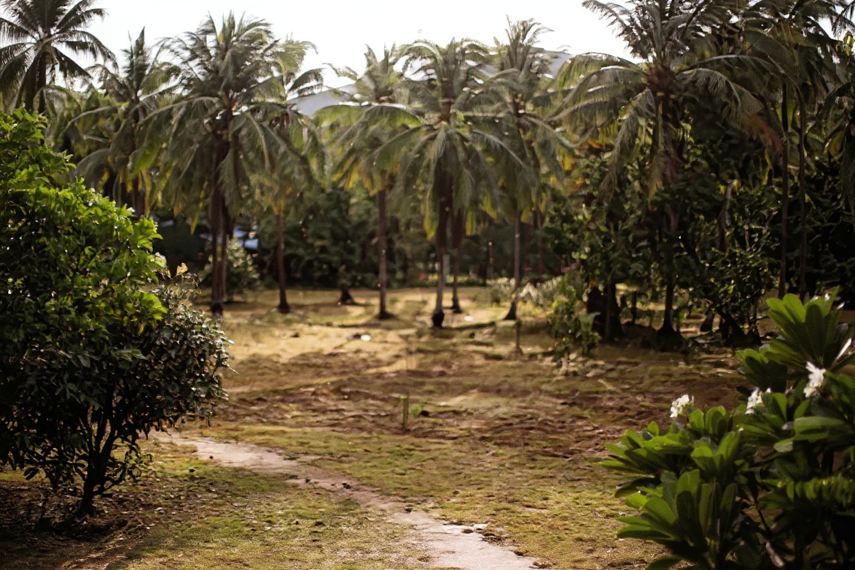Malaria risk in Vietnam is concentrated in specific rural areas — not major tourist routes